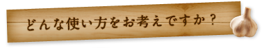 どんな使い方をお考えですか？