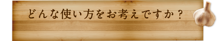 どんな使い方をお考えですか？